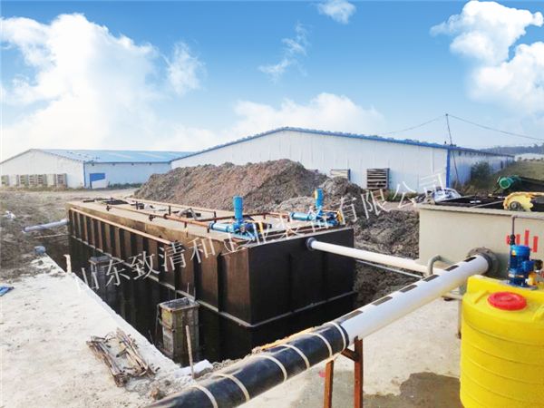 613abdd0c8acc.png!600X